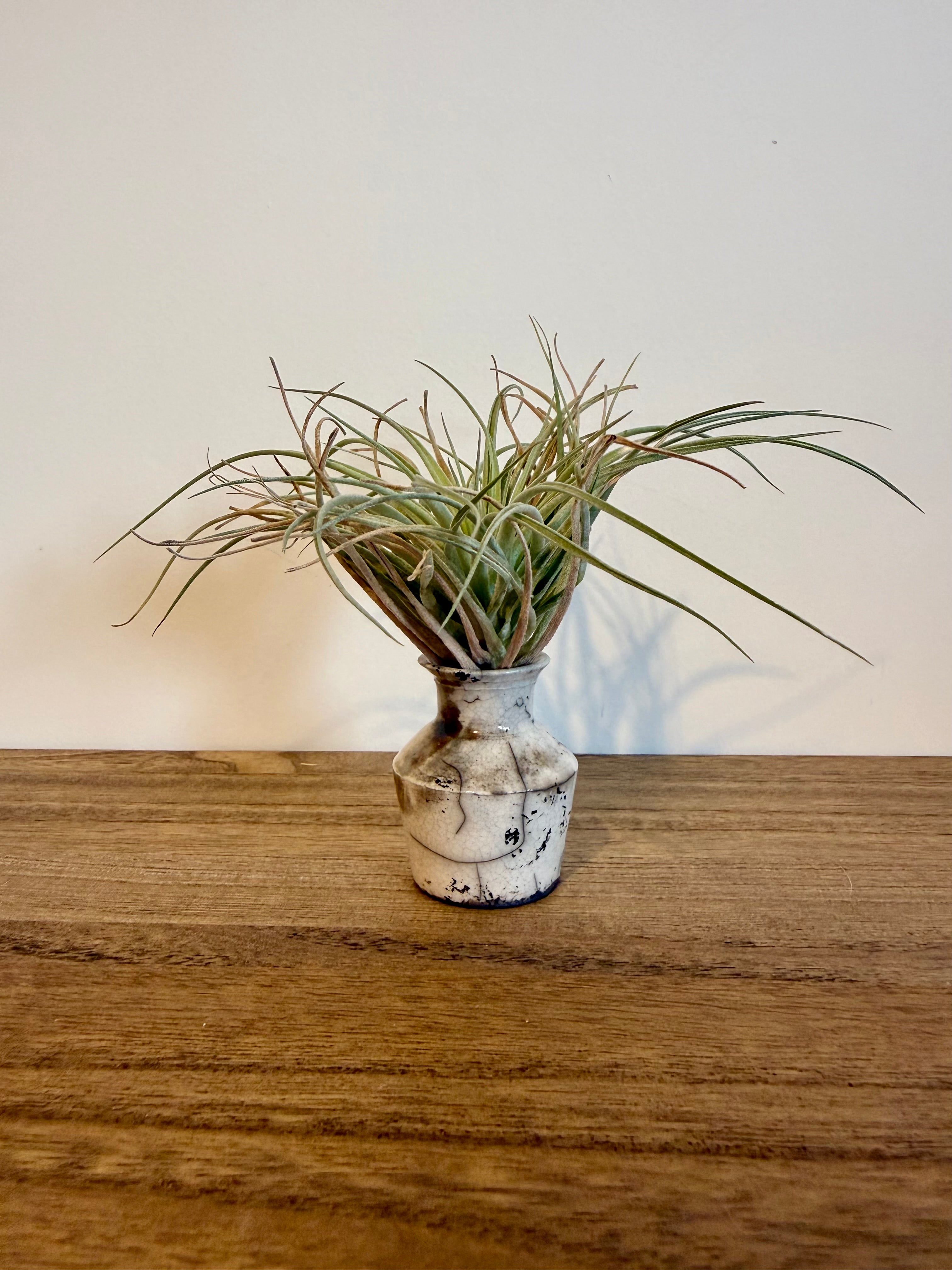 Studio Pottery: Smoke-Fired Miniature Vase