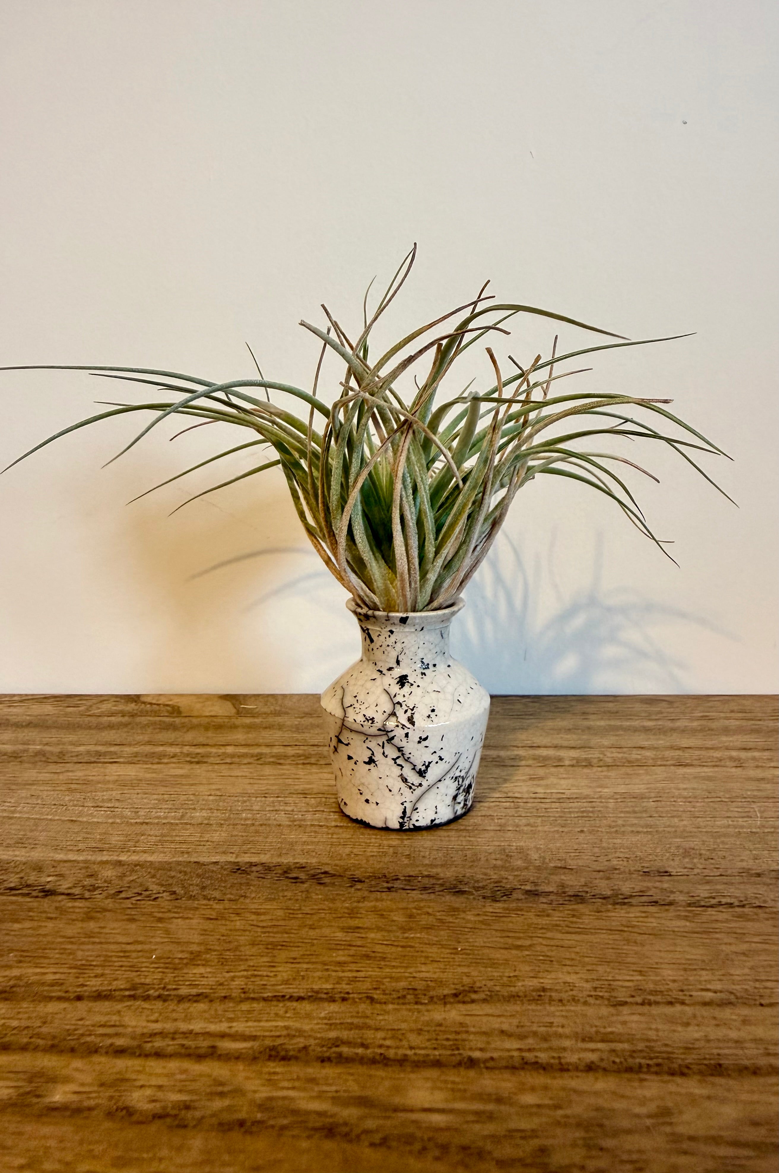 Studio Pottery: Smoke-Fired Miniature Vase