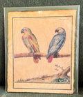 Periquiet Print